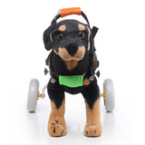 Pet Wheelchair For Disabled Dog Old Dog Cat Walking Assisted Car Adjustable Lightweight Hind Legs Rehabilitation Dog Wheelchair
