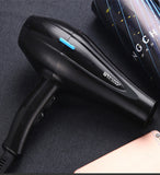 Powerful Professional Salon Hair Dryer Blow Dryer Electric Hairdryer Hot/Cold Wind with Air Collecting Nozzle D40
