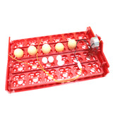 Incubator 96 Eggs Bird Incubator Egg Rack Tray 24 Automatic Egg Incubator 48 Eggs Quail Parrot Incubation Tool Free Shipping