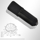 BM700 Microphone Set USB interface plug and play high sampling rate 192KHZ/24Bit compatible with mobile phone/PAD