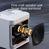 Ys203 100w High-Power Wireless Portable Microphone Bluetooth-Compatible Speaker Outdoor Family Party Karaoke Box Subwoofer