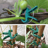 80pcs/pack Tomatoes Plants Clip Stem Support Reusable Climbing Gardening Tool Vegetables Vines Clamps Orchid Gripper Flower