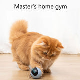Pug Electric Smart Interactive Chew Toy Cat Automatically Teasing Escape Chasing Toys USB Power (Battery Capacity 1000mAh)
