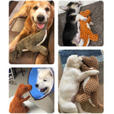 Dog toys Plush Squeak Bite-Resistant Clean Chew Toys for Cat Dog Training Funny interactive Pet Supplies For Dropshipping