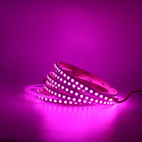 5M Led Strip 5050 SMD 120Leds/M Waterproof Flexible Led Tape 12v 2835Decoration Ribbon Led Light Led Stripe RGB+24key controller