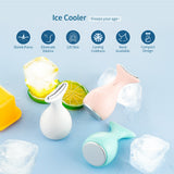 Skin Lifting Anti-wrinkle Face Cooling Massager Ice Compress Calm Skin Ice Cooler Eye Pouch Neck Massager Cooler Edema Remover