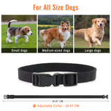 Petrainer 619A-1 800M Electric Dog Collar Remote Dog Training Collar With Vibration Beep Shock Collar For Dog Training