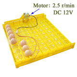 New Incubator 56 Eggs 110V / 220V  Automatic Egg Incubator Chicken Duck Poultry Incubation Equipment 2016 Free Shipping