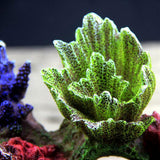 Quarium Decoration Environments Cave Living Reef Fish Tank Resin Coral Aquarium