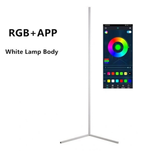 Nordic RGB Corner Floor Lamp Modern Simple LED Rod Floor Lamps for Living Room Bedroom Atmosphere Standing Indoor Light Fixtures