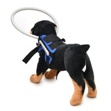 Blind Dog Harness Guiding Device, Pet Safe Halo Prevent Collision & Build Confidence Blind Dog Accessories