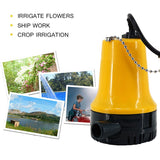 Bilge Pump, 12V  Micro-  Dc Immersible Submersible Agricultural Irrigation Portable Electric Water Removal Pump