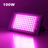 Full Spectrum LED Grow Lights AC220V Seedling Planting Lamps With On/Off Switch For Greenhouse Hydroponic Plant Growth Lighting