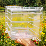 Watermelon Growing Mold Home Nursery Pot Heart Square Garden Supplies Transparent Reusable For Fruit Plastic Forming Shaping