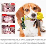IT AND ME Eagle TPR Soft Rubber Dog Toy Tough Anti-Bite Molar Clean Teeth Toothbrush Training Toy for Small Big Dogs Interactive