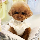 New Summer Dress for Dog Pets Dog Clothes Handmade Teddy Wedding Dress Skirt Puppy Clothing Spring Dresses for Dogs Skirt Clothe