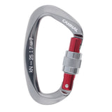 25KN Screwgate Locking Carabiner Rock Tree Climbing Caving Clip Hammock Hook for Exploring Rappelling Rescue Engineering