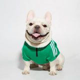 Designer Dog Clothes Small Medium-sized Chihuahua French Bulldog Sweatshirt Clothes Autumn Winter Fashion Zipper Pullover Jacket