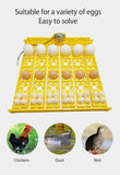 156 Quail Eggs Tray Incubator Turner Automatically Turn Eggs  Poultry Incubation Equipment Chicks Ducks &amp; Other Poultry Incubato