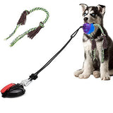 Dog Chew Toys for Aggressive Chewers, Suction Cup Dog Chewing Toy, Dog Rope Ball Toys with Suction Cup for Small Large Dogs