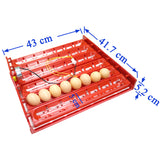 220V/110V/DC 12V Incubator Turn eggs tray Chicken Duck Goose Birds Compound Automatic incubator tray 41.7 x 43 cm