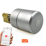 Airbnk M530 Smart Door Lock TUYA Smart Lock Blue-tooth Fingerprint lock Electronic lock Use Original Cylinder