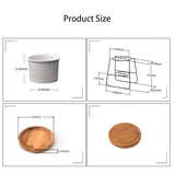 6.30 Inch Modern Plants And Planters Garden Ceramic Round Bowl Large Planter With Electric Spray Bottle Watering Tool