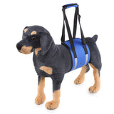 Popular Dog Carrying And Pet Assisting With Protection Belt adjustable Harness Set Leash Soft carrier accessories supplies soft