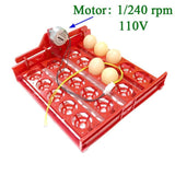20 Egg Incubator Turn Eggs Tray Eggtester Automatic Incubator Controller Experimental Teaching Equipment