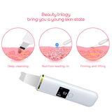 Ultrasonic skin cleaner to remove blackhead acne rejuvenation beauty instrument ion introduction electric shovel skin cleaner