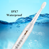 Electric Toothbrush Men and Women Couple Houseehold Whitening IPX7 Waterproof Sonic Toothbrush Ultrasonic Automatic Tooth Brush