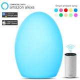 Smart WiFi Light Smart Voice Control Ambient Lamp Music Rhythm Lighting Portable Lamp Touch Control Tuya APP Smart Home