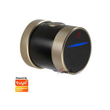 TUYA bedroom fingerprint lock interior door room door wooden door spherical smart door lock home office apartment