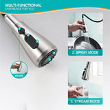 Kitchen Faucet With Pull Down Sprayer Brushed Nickel, High Arc Single Handle Kitchen Sink Faucet With Water Lines