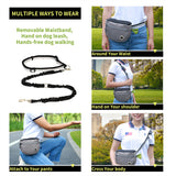 Agility Dog Training Equipment Outdoor Food Storage Pouch Large Capacity Dog Training Waist Bag Portable Pet Treat Snack Bag