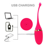 Kegel Balls Exerciser Weights, Allovers Remote Ben Wa Ball with 10 Vibration Modes for Bladder Control & Pelvic Floor Exercises
