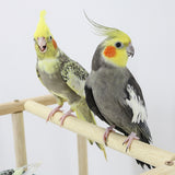 Wooden Parrots Playstand Bird Playground With Ladder Toys Pet Wood Perch Platform and Feeder Cups Bird Life Activity Center