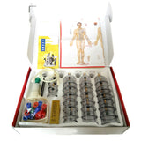 Premium 32 Cups Acupuncture Cupping Therapy Set Chinese Vacuum Cupping Magnetic Heads Acupuncture Set