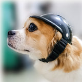 Pet Dog Helmet Motorcycle Helmet Outdoor Bike Doggy Cap for Small medium Dogs Cats Safety Protect Helmet S/M Pet Accessories