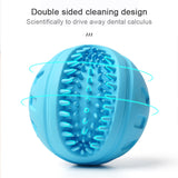 Pet Dog Cat Chew Toy Ball Puppy Teething Toys Interactive Balls Bite Resistant Tooth Cleaning Squeak Toy Vocal Chewing Rubber