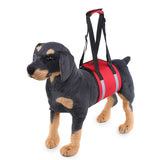 Popular Dog Carrying And Pet Assisting With Protection Belt adjustable Harness Set Leash Soft carrier accessories supplies soft