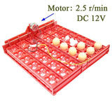 36 Eggs /144 Bird Eggs Duck Goose Pigeon Quail Automatic Incubator Incubation Equipment The Birds Poultry Incubator Equipment