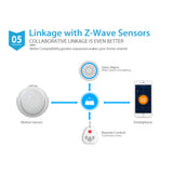Plus PIR Motion Sensor Detector +Temperature Feature Easy Install Battery Operated Home Automation Sensor