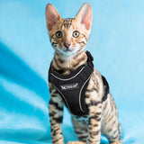 Pet Dog Cat Harness Mesh Nylon Reflective Vest Harnesses for Small Dogs Cats Chihuahua Yorkshire Kitten dog Puppy Supplies
