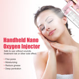 Nano Facial Steamer Sprayer 0.3mm Air Compressor Water Oxygen Facial Humidifier Nano Mist Spray Gun Skin Care Beauty Products