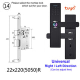 RAYKUBE Wifi Electronic Door Lock With Tuya APP Remotely / Biometric Fingerprint Smart Card Password Key Unlock FG5 Plus