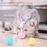3 Pcs Simulation Sound Cat Ball Toys for Cats Pet Interactive Catnip Funny Toy Selfplaying  Kitten Toy Training Supplies for Cat