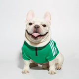 Designer Dog Clothes Small Medium-sized Chihuahua French Bulldog Sweatshirt Clothes Autumn Winter Fashion Zipper Pullover Jacket
