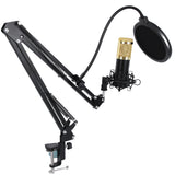 Microphone Recording Studio Broadcast Recording Condenser Microphone With Frame And USB Connector Microphones
