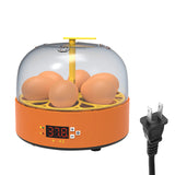 6 Eggs Children Experimental Eggs Incubator Chicken Incubator Eggs Hatching Machine Temperature Control Children Gift